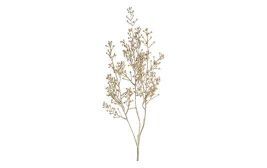 Deko-Zweig