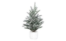 Tannenbaum im weißen Topf