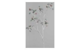 Larix-Zweig mit Zapfen