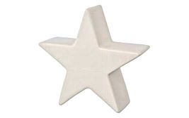 Deko Stern 16cm