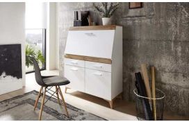 Moderner Sekretär Hover