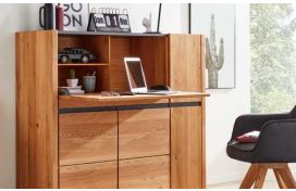 Moderner Sekretär Hover