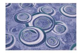 Spannteppich (4m) Hover