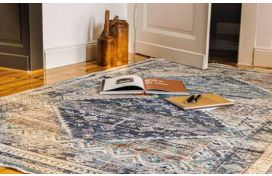 Veloursteppich 80x150cm Hover