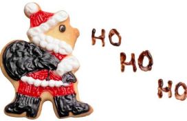 Ausstecher Nikolo Hover