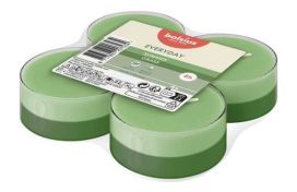 Duft Maxi-Lichte DUO