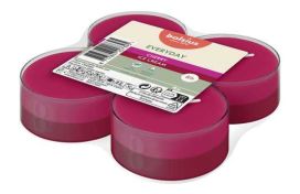 Duft Maxi-Lichte DUO