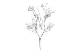 Dekozweig mit Fruchtstand