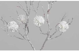 Dekozweig mit Fruchtstand Hover