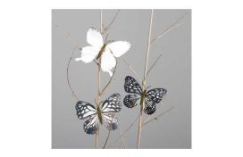 Schmetterling mit Clip